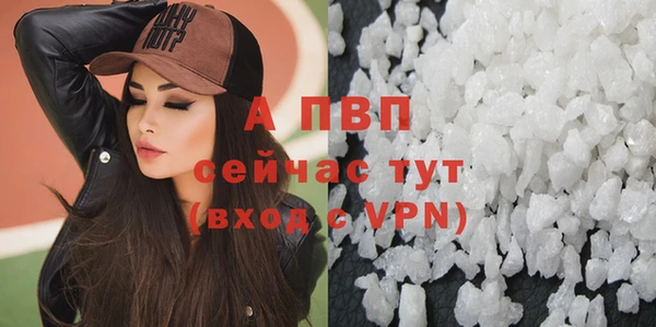 шишки Козельск